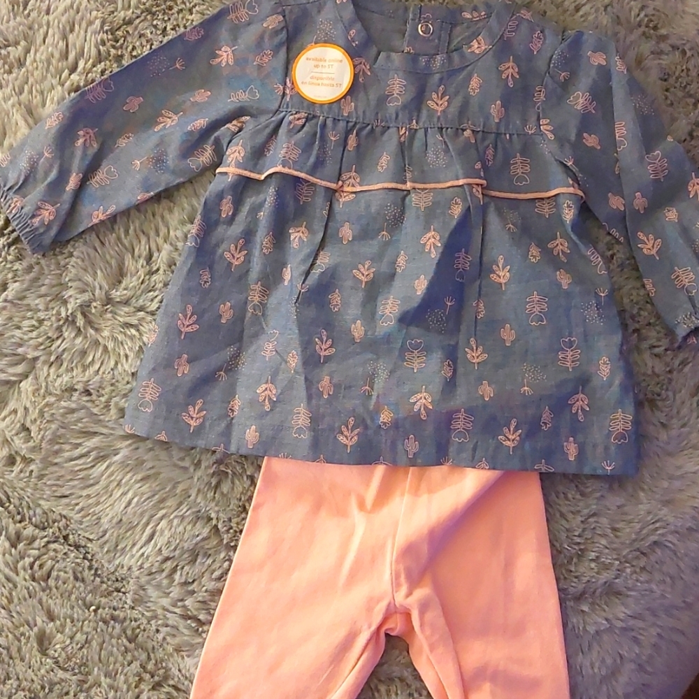 Baby girls 2 pc Chambray Cactus Pant set